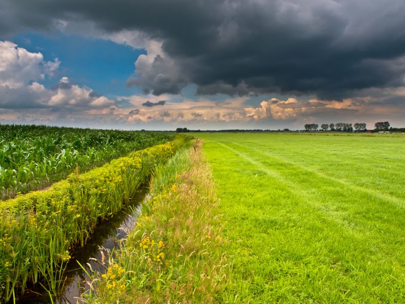 Cost of Landscape Drainage — Cost of Landscape Drainage