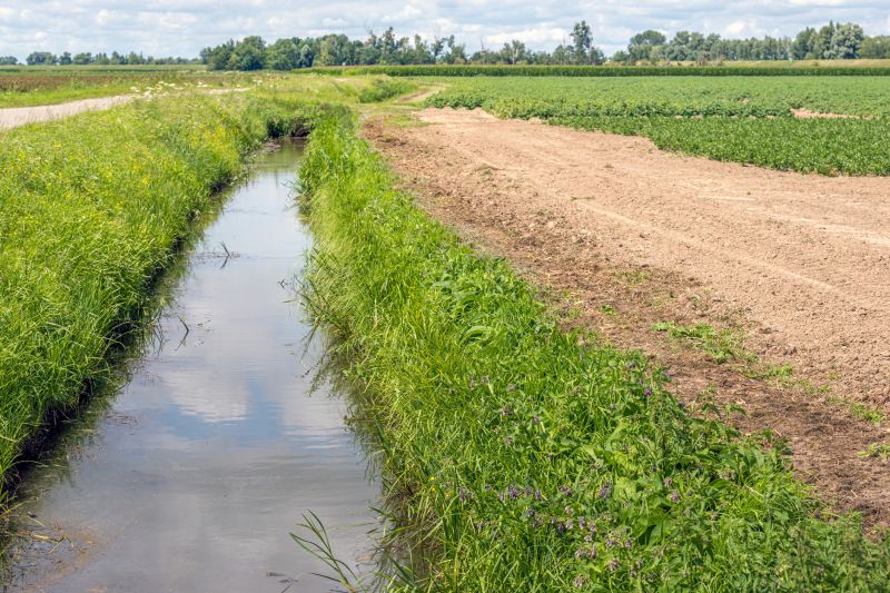 Cost of Landscape Drainage — Cost of Landscape Drainage