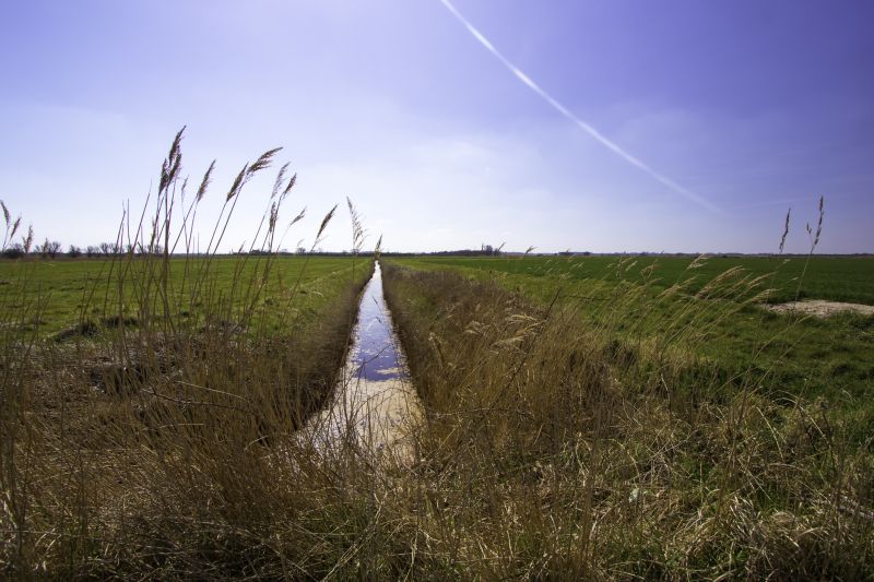 Cost of Landscape Drainage — Cost of Landscape Drainage